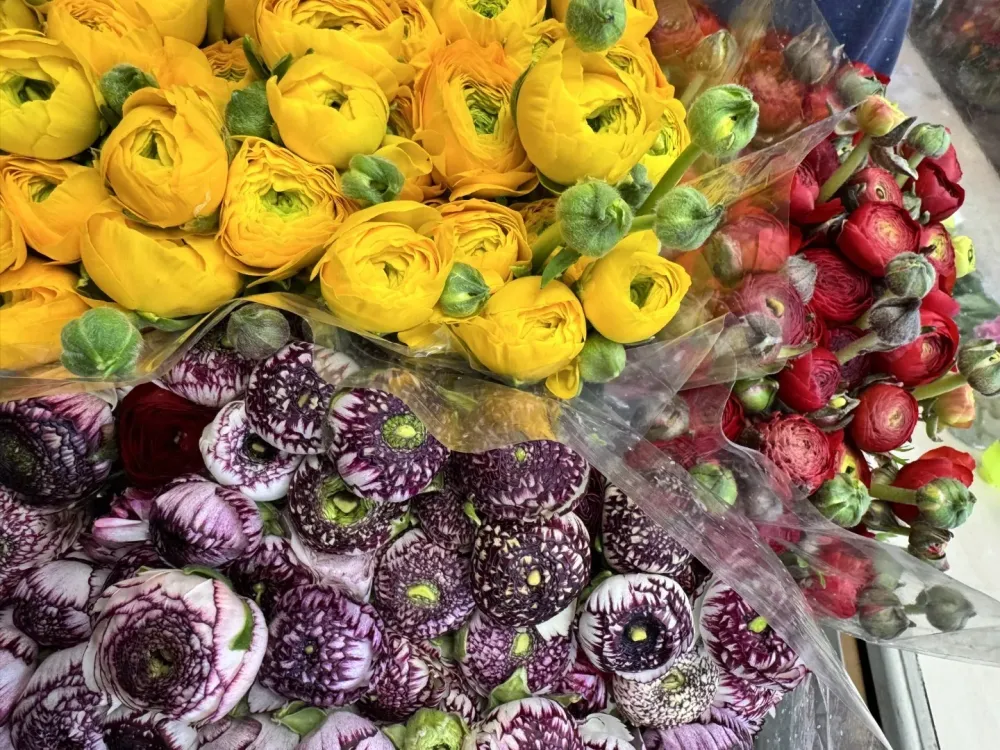 Livraison de fleurs à Crosne